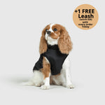 Dog Winter Jacket Built-In Harness Wind & Water-Resistant