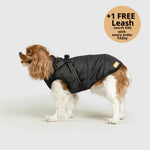 Dog Winter Jacket Built-In Harness Wind & Water-Resistant