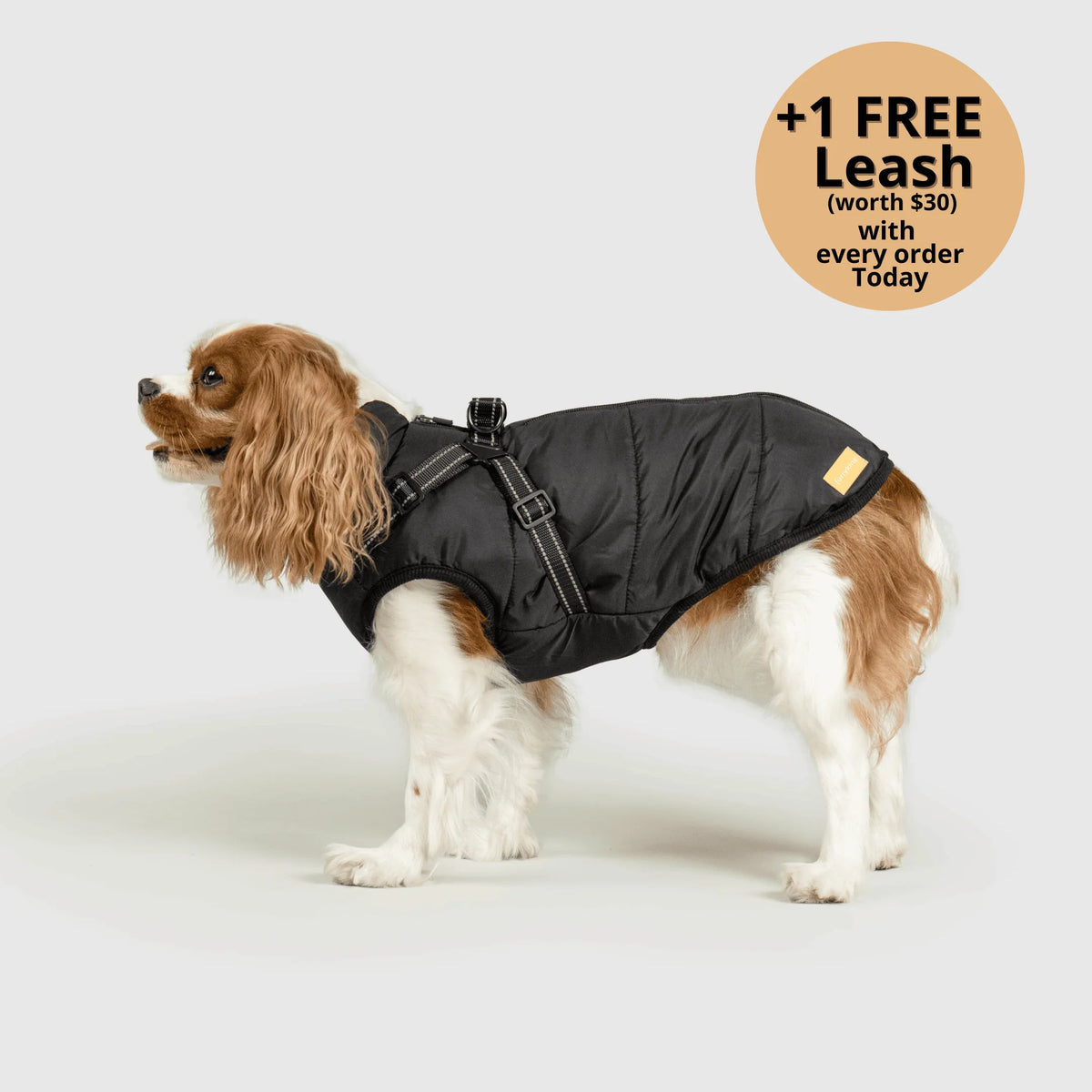 Dog Winter Jacket Built-In Harness Wind & Water-Resistant