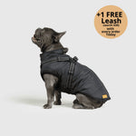 Dog Winter Jacket Built-In Harness Wind & Water-Resistant