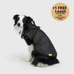Dog Winter Jacket Built-In Harness Wind & Water-Resistant