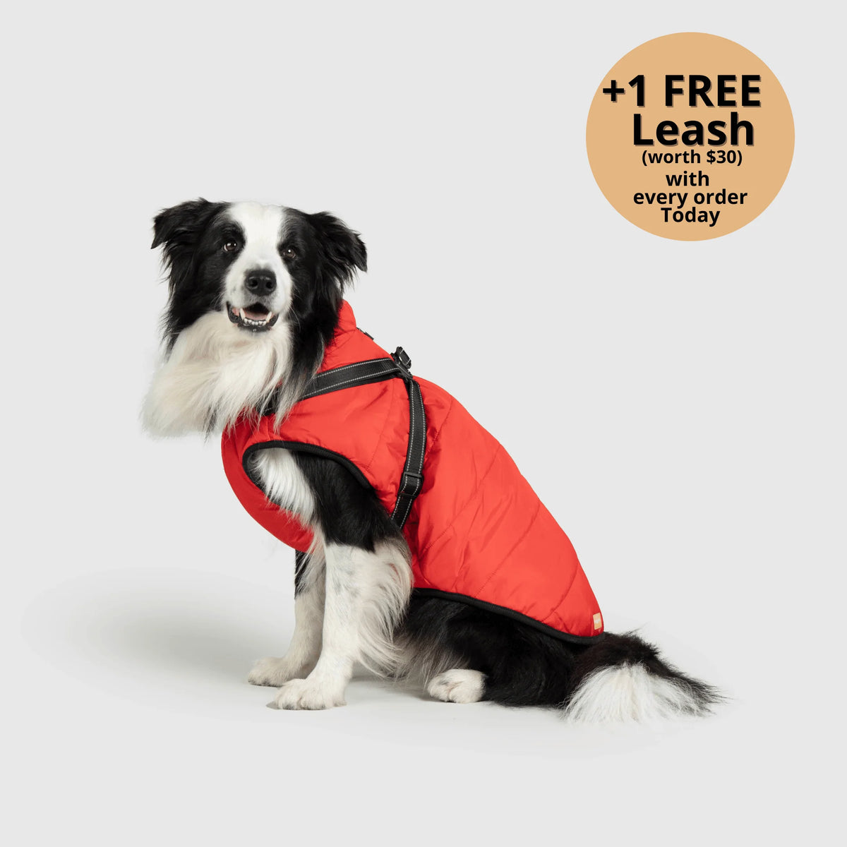 Dog Winter Jacket Built-In Harness Wind & Water-Resistant