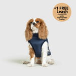 Dog Winter Jacket Built-In Harness Wind & Water-Resistant