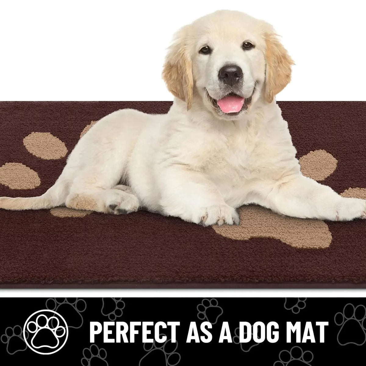 Door Mat Absorbent Surface & Non-Slip Backing