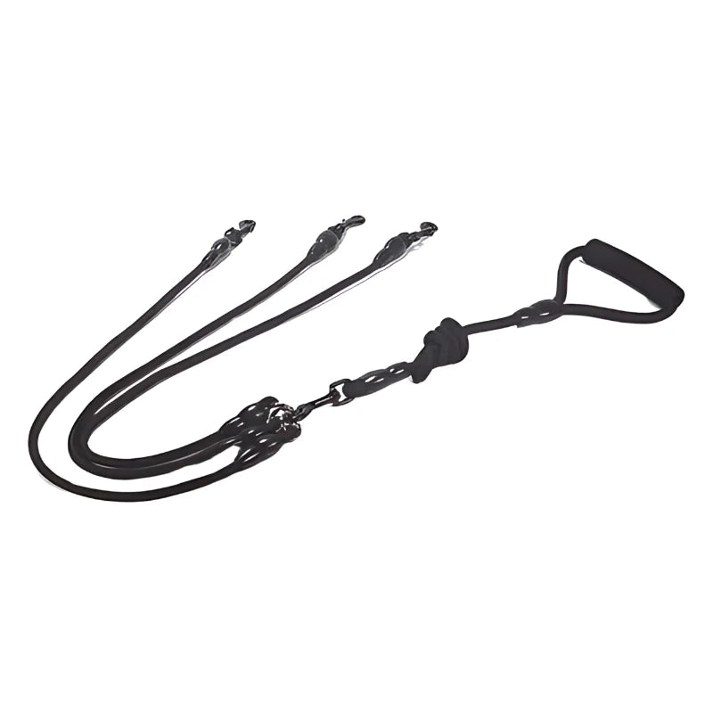 Dual Dog Leash Tangle-Free Cushioned Handle Quick-Lock