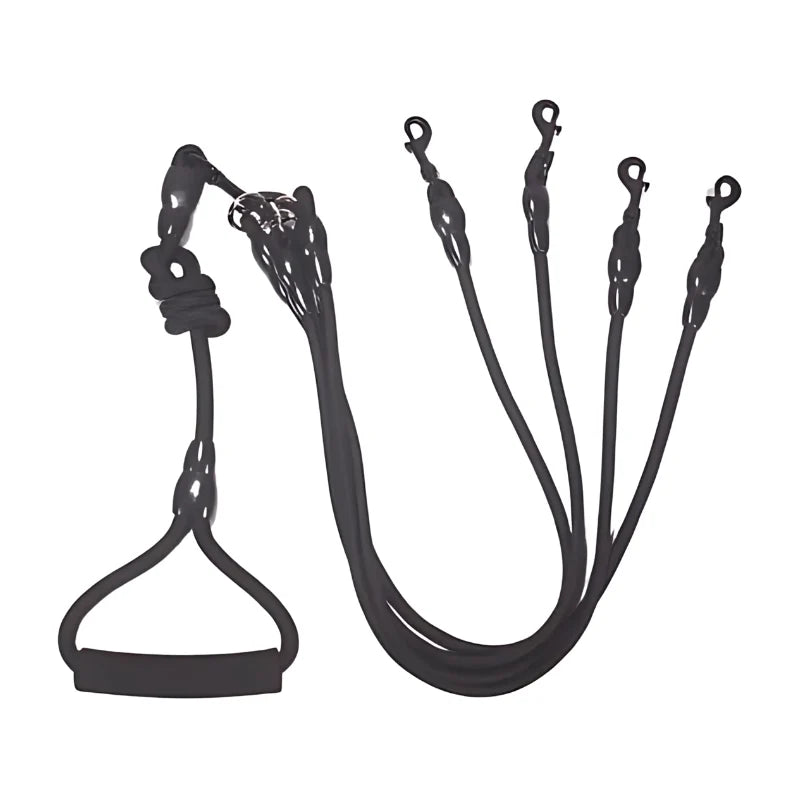Dual Dog Leash Tangle-Free Cushioned Handle Quick-Lock