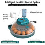 Egg Incubator 15 Egg Automatic Turning & Humidity Control