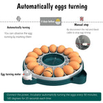 Egg Incubator 15 Egg Automatic Turning & Humidity Control