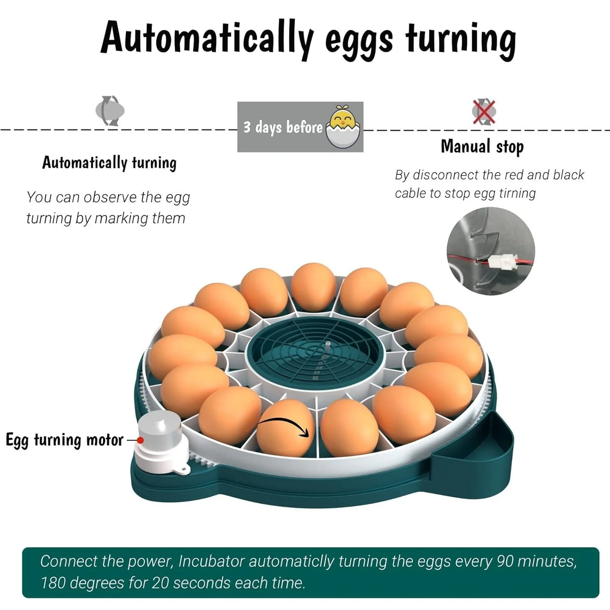 Egg Incubator 15 Egg Automatic Turning & Humidity Control