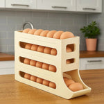 Egg Storage Box Rolling Design 30-Egg Capacity