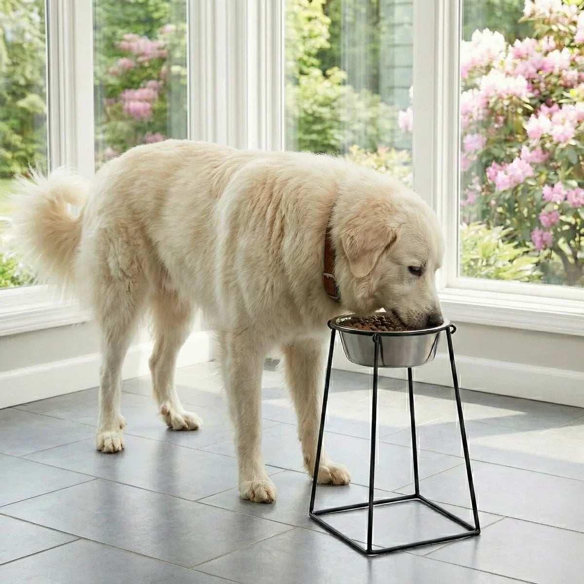 Elevated Dog Bowl 18-Inch Wrought Iron Stand Stainless Steel Bowl