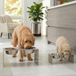 Elevated Dog Feeder Stainless Steel Dual Bowls Adjustable Heights Dishwasher-Safe