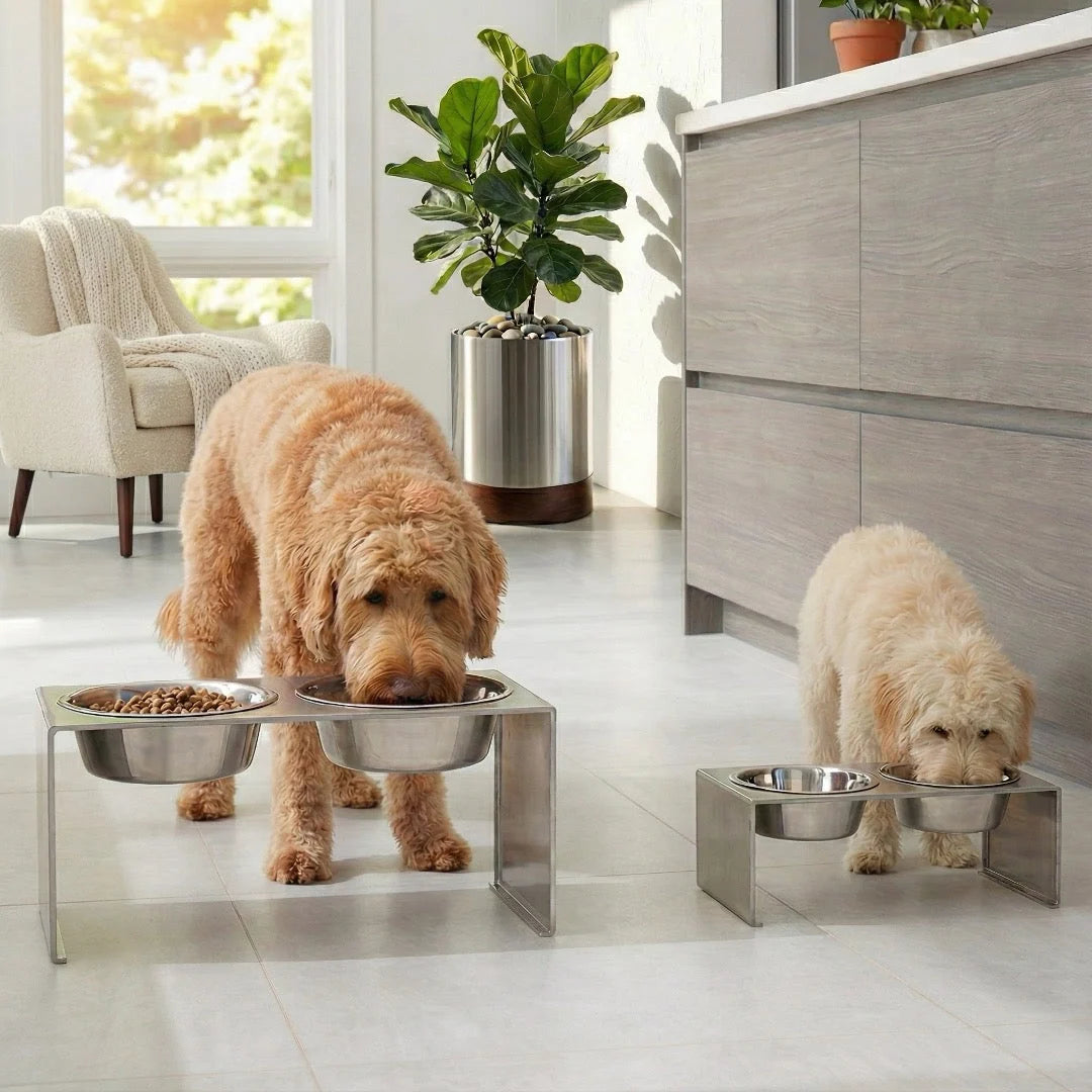 Elevated Dog Feeder Stainless Steel Dual Bowls Adjustable Heights Dishwasher-Safe