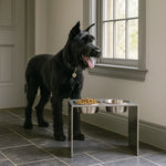 Elevated Dog Feeder Stainless Steel Dual Bowls Adjustable Heights Dishwasher-Safe
