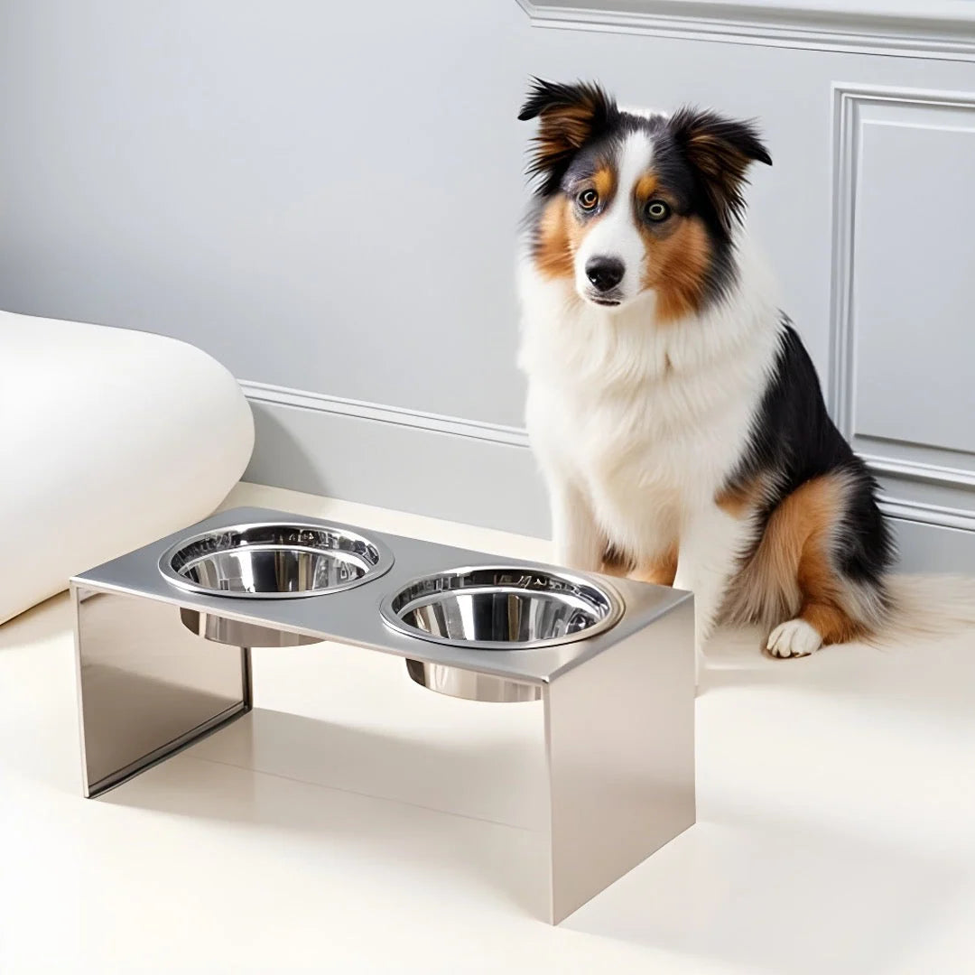 Elevated Dog Feeder Stainless Steel Dual Bowls Adjustable Heights Dishwasher-Safe