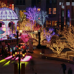 Fairy Light Chain Copper Wire Indoor & Outdoor