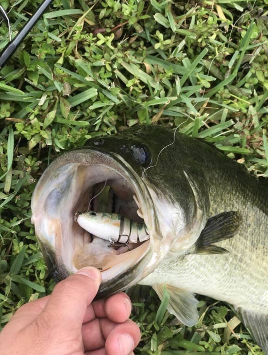 Fishing Lure Multi-Jointed Slow Sinking 3D Eyes