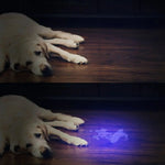 Flashlight UV Blacklight Pocket-Sized Stain Detection
