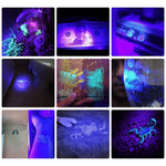 Flashlight UV Blacklight Pocket-Sized Stain Detection