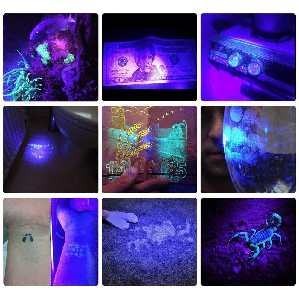 Flashlight UV Blacklight Pocket-Sized Stain Detection