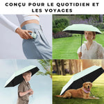 Folding Umbrella Compact & Lightweight Multiple Colour Options