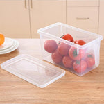 Food Storage Container Clear BPA-Free With Lid and Handle