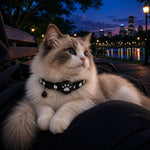 GPS Cat Collar Real-Time Tracking Reflective Water-Resistant Silicone