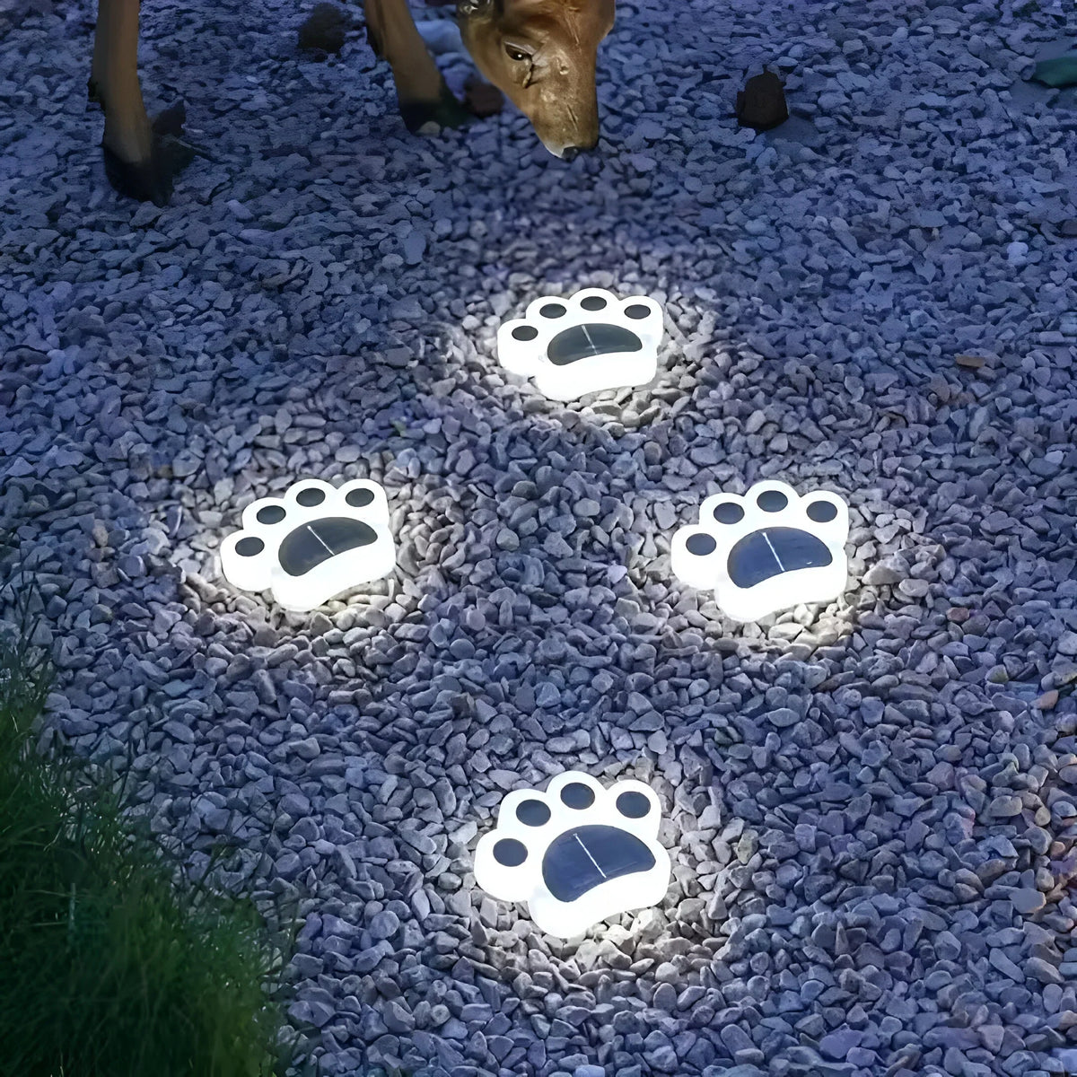 Garden Lights Paw Print Solar-Powered Weather-Resistant