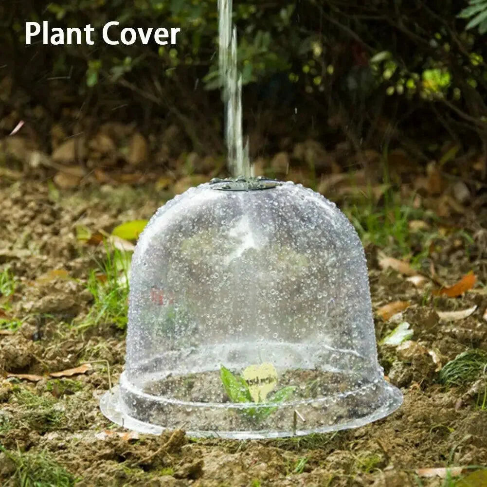 Garden Plant Cover Clear Frost Dome 26cm