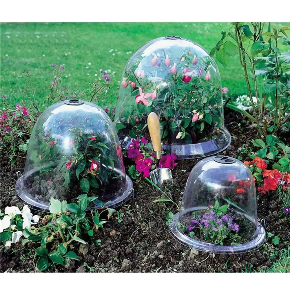 Garden Plant Cover Clear Frost Dome 26cm