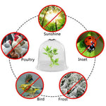 Garden Plant Cover Clear Frost Dome 26cm