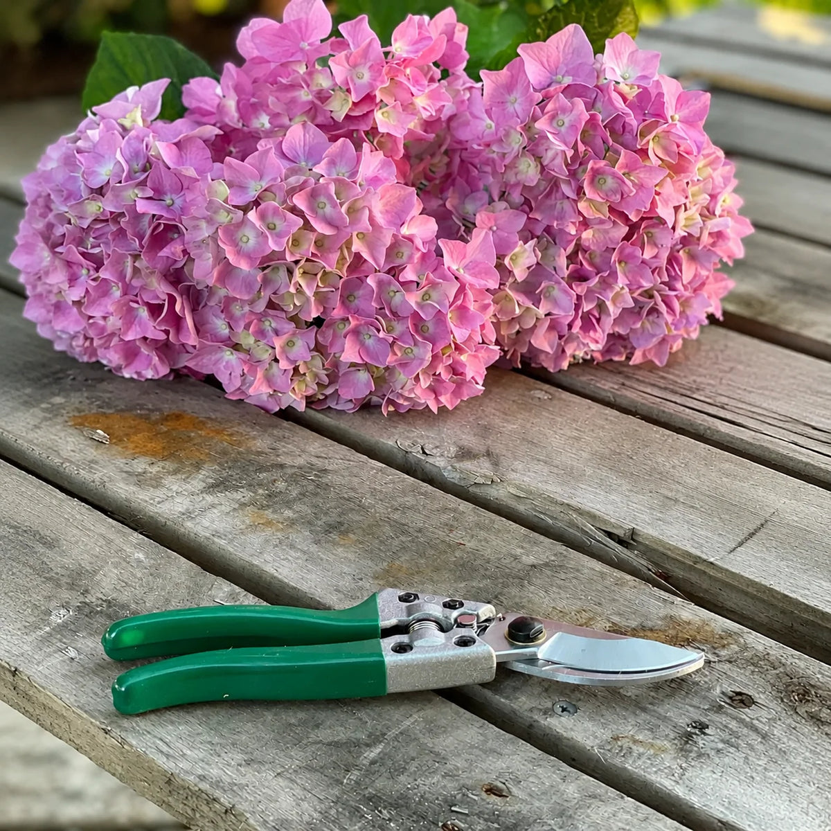 Garden Pruning Shears Carbon Steel Blade Lightweight Aluminum Frame