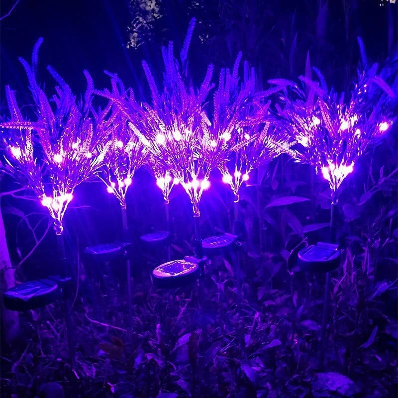 Garden Stake Lights Solar-Powered Lavender Blossoms Dusk-To-Dawn