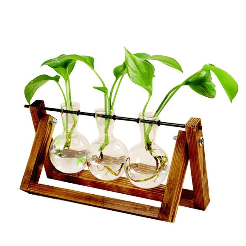 Glass Terrarium Wooden Frame Hydroponic Vase