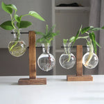 Glass Vase Clear Glass Wooden Stand Tabletop Décor