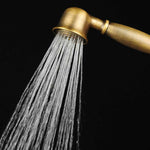 Handheld Showerhead Wall Mounted Swivel Rust Resistant Metal