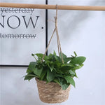 Hanging Planter Natural Jute Space-Saving Display