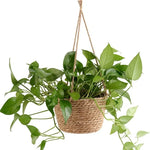 Hanging Planter Natural Jute Space-Saving Display