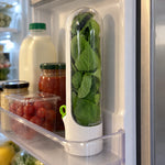 Herb Keeper Fresh Herb Storage Kitchen Organizer