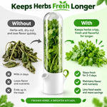 Herb Keeper Fresh Herb Storage Kitchen Organizer