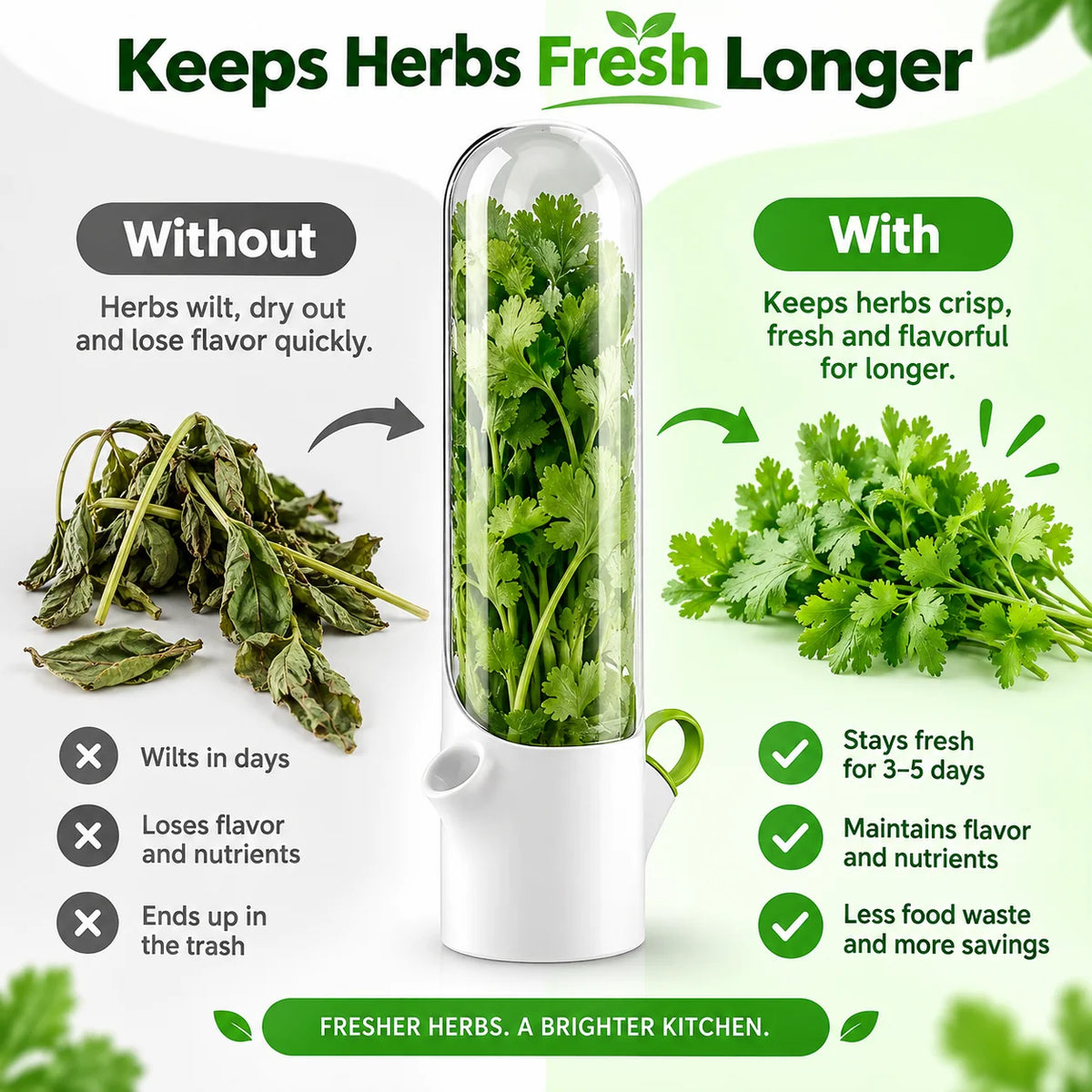 Herb Keeper Fresh Herb Storage Kitchen Organizer