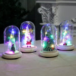 Holiday Display Dome Battery-Powered LED Glass & Wood