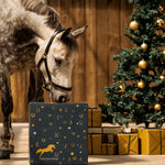 Horse Advent Calendar 24-Day Countdown Grooming Tools & Keepsakes