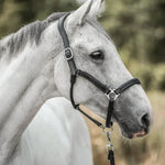 Horse Advent Calendar 24-Day Countdown Grooming Tools & Keepsakes