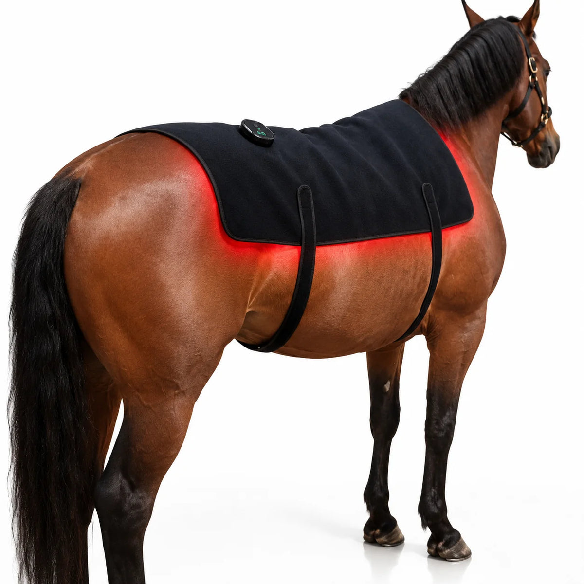 Horse Back Wrap LED Red Light Rechargeable Cordless