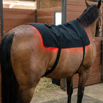 Horse Back Wrap LED Red Light Rechargeable Cordless