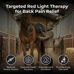 Horse Back Wrap LED Red Light Rechargeable Cordless