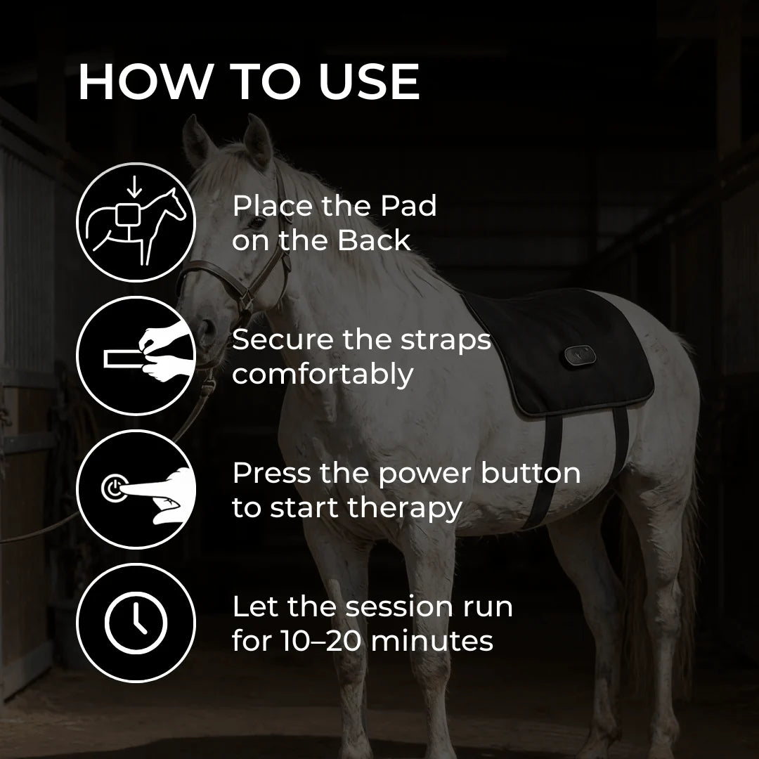 Horse Back Wrap LED Red Light Rechargeable Cordless