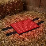 Horse Back Wrap LED Red Light Rechargeable Cordless