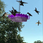 Hummingbird Feeder Ant-Proof & Bee-Resistant 12 Oz